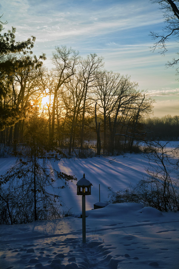Sunrise Winter #53