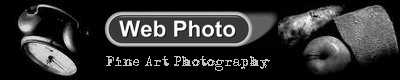 Web Photo logo