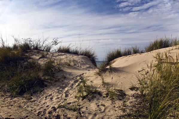 Dunes Lakeshore #03