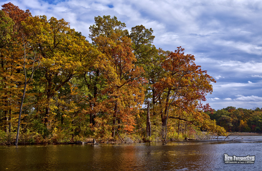 Lakeside View-Autumn #51c