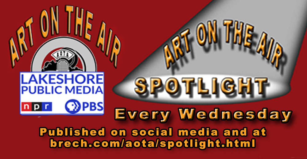 AOTA Spotlight Interviews