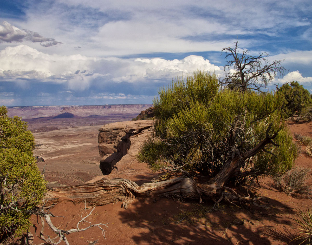 Canyon Overview