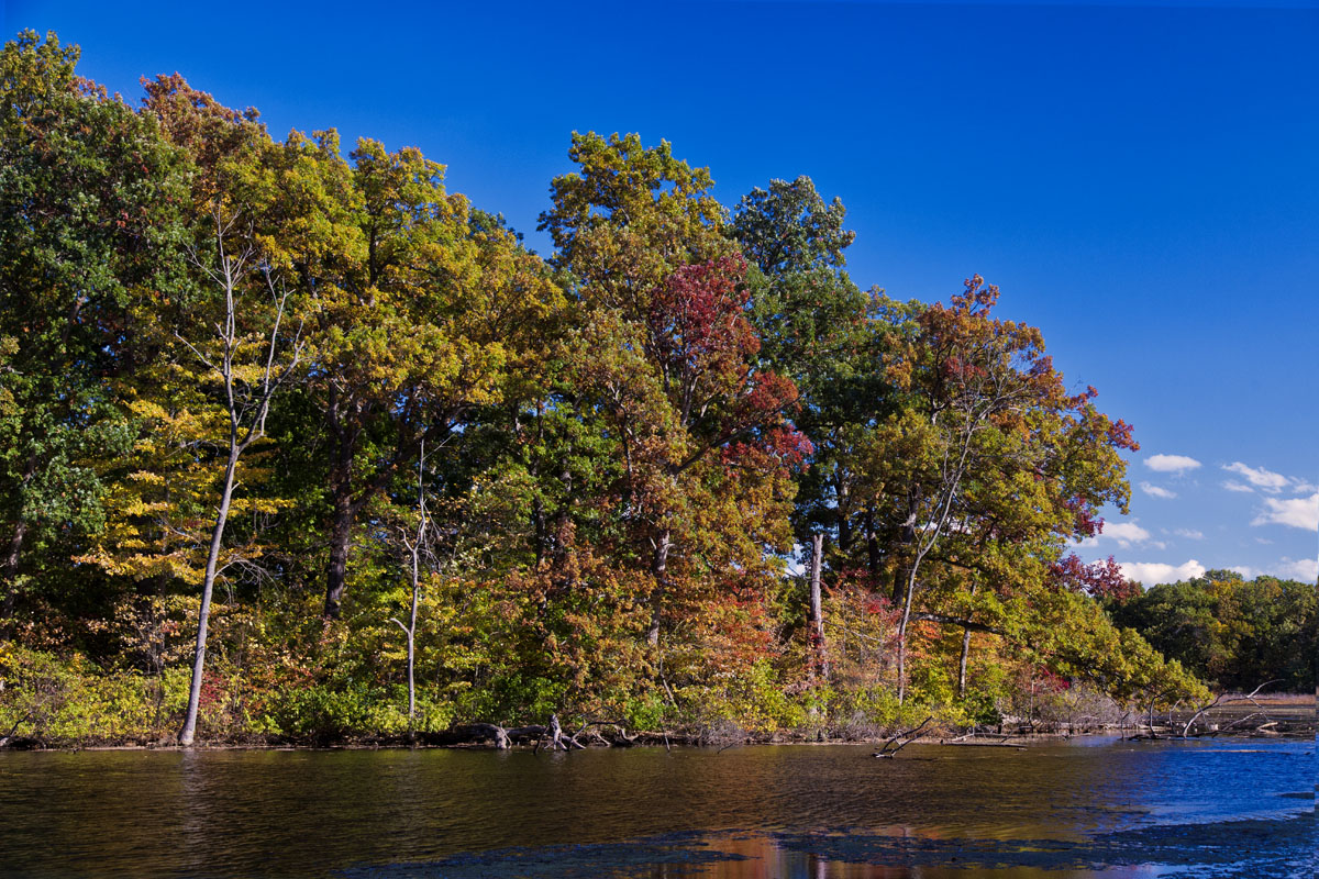 Lakeside View-Autumn #3