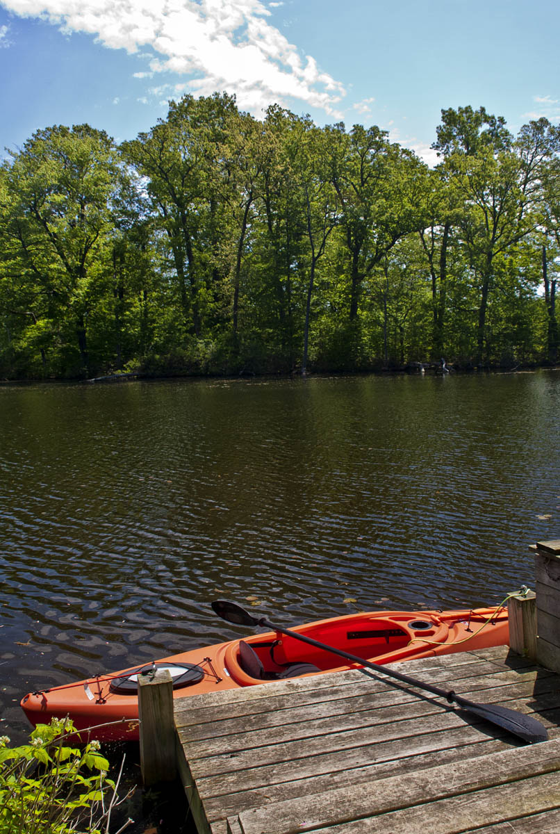 Kayak Dockside #121