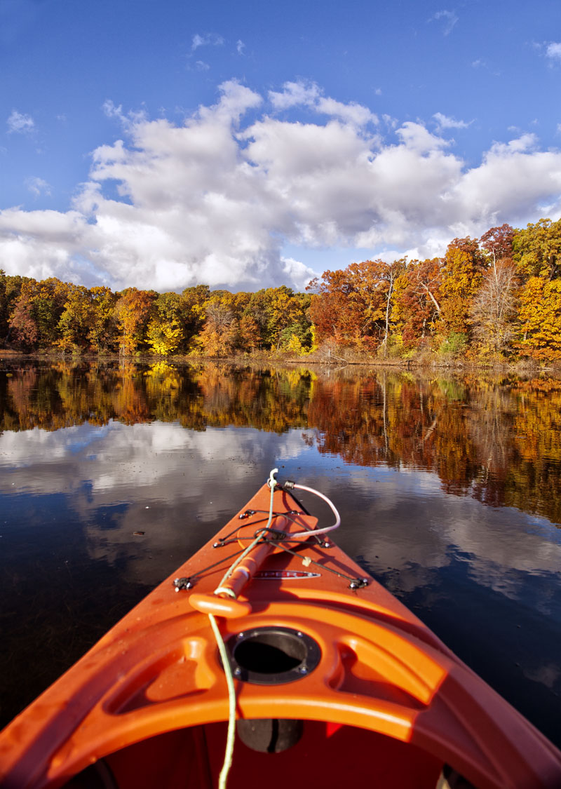 Kayak Dockside #285