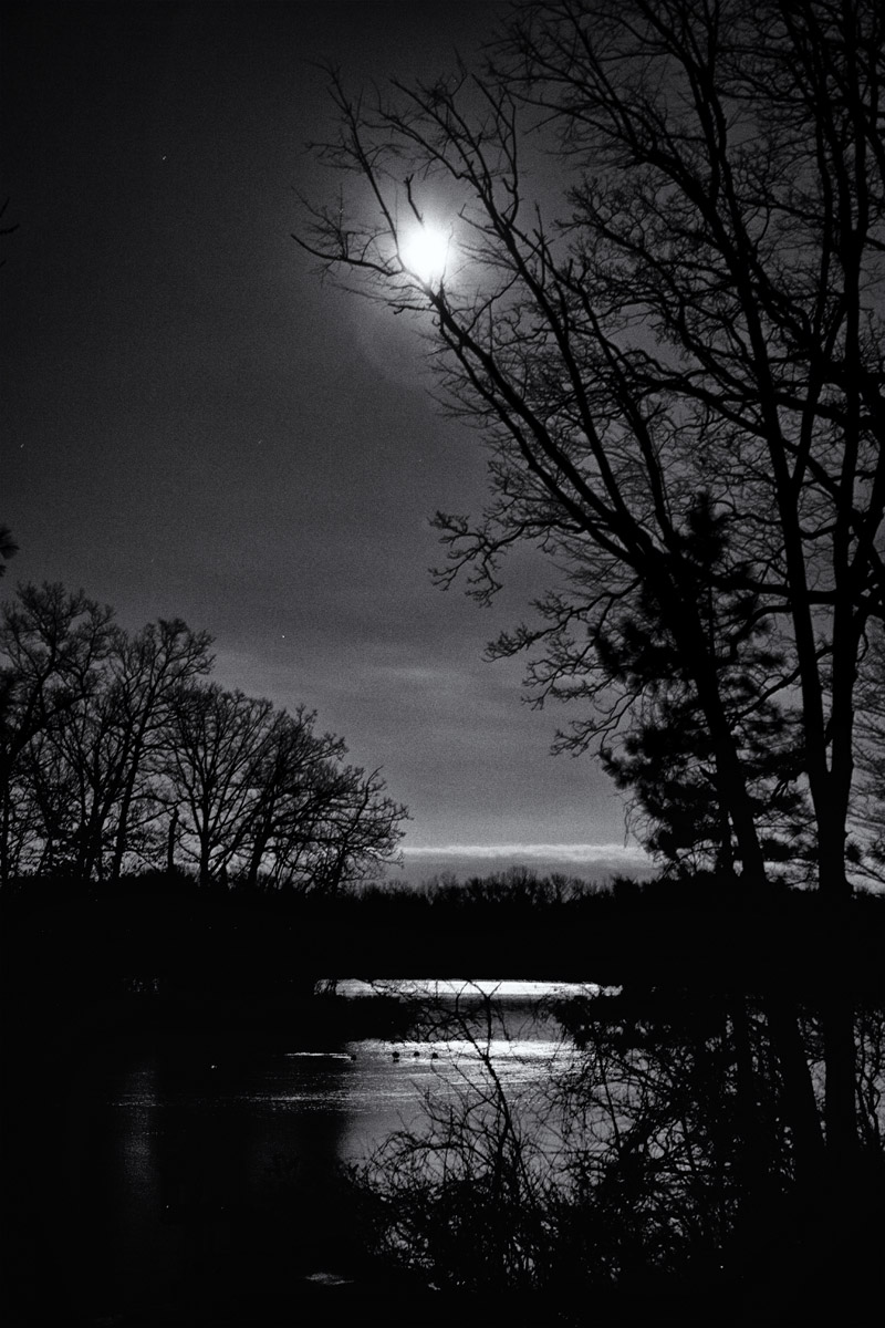 Moonrise- B&W 21B&W