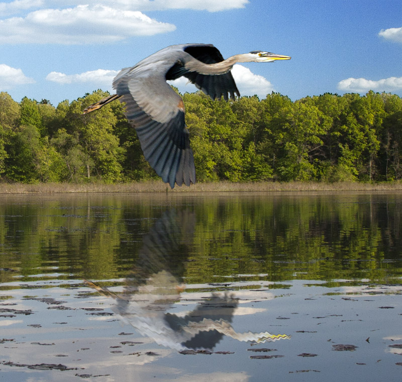 Reflected Flight