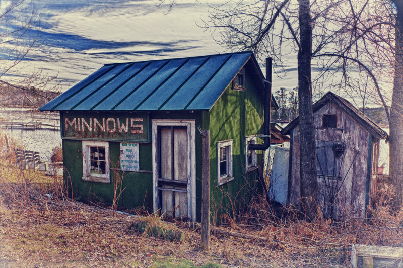 Minnow Shack-Illustration