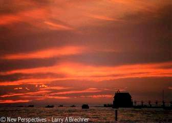 Sailor's Delight