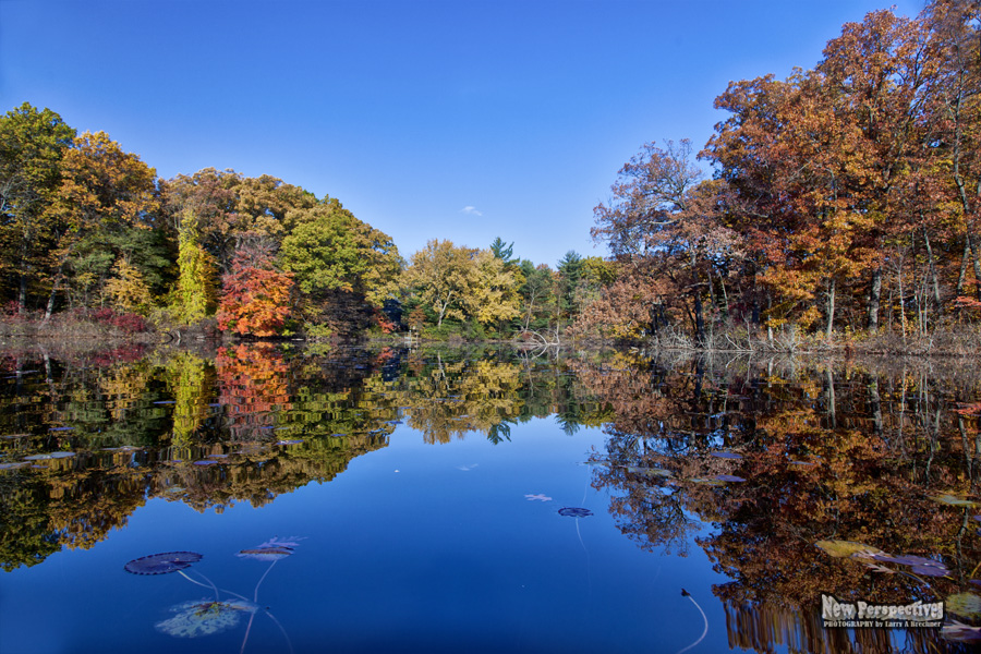 Autumn Lake #150