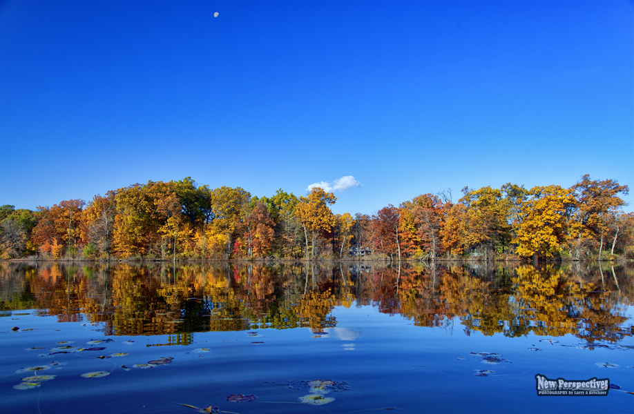 Autumn Lake #109