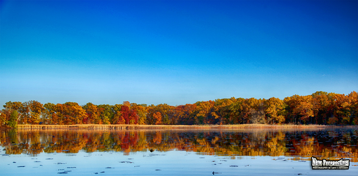  Lake Palmara #205