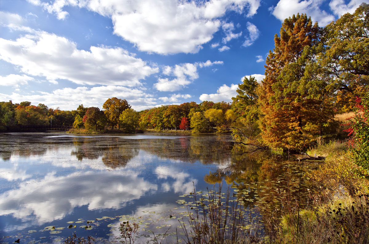 Autumn Lake #33c