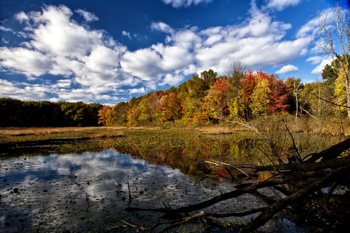 Autumn Lake #66