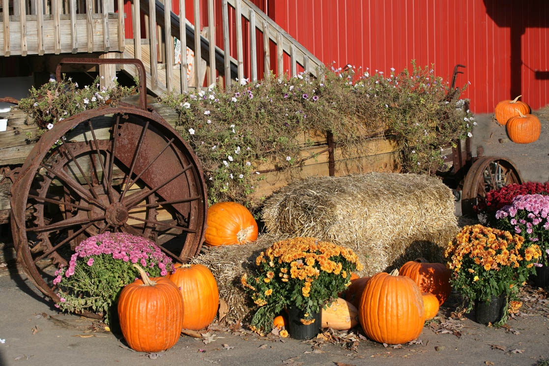 County Line Orchard Wagon