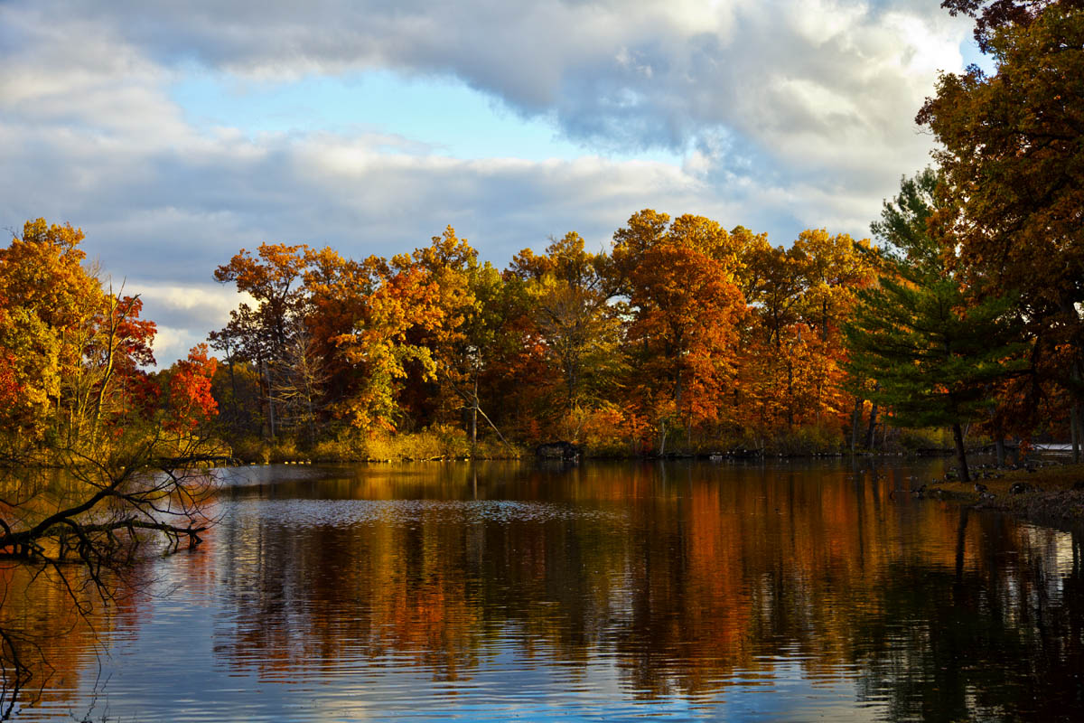 Chubb Lake #211