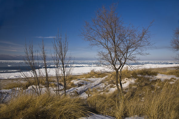 Dunes Lake Shore Winter #24