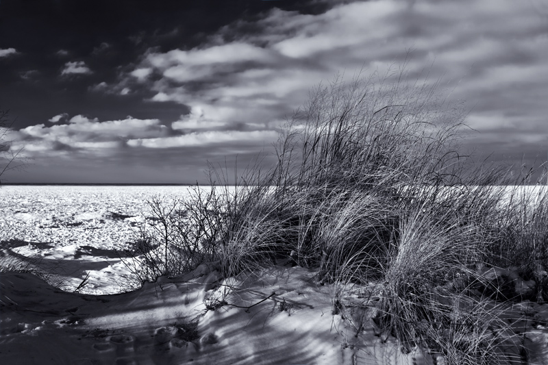 Winter Dunes Lakeshore 04