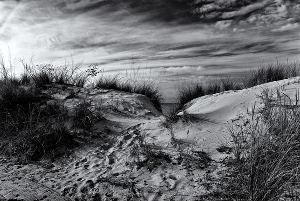 A Duneland Beach 03