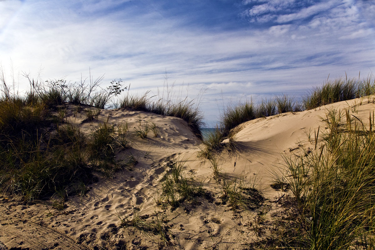 A Duneland Beach