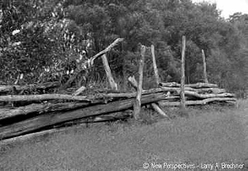 Fallen Fences