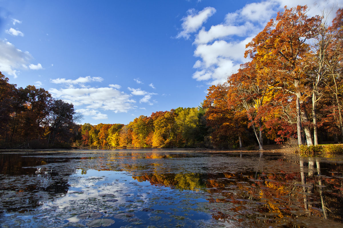 Autumn Lake #149