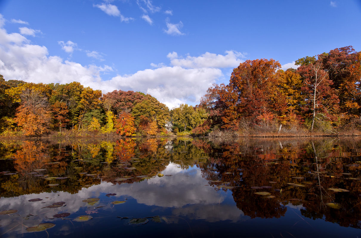 Autumn Lake 308c