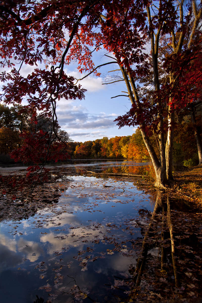 Autumn Lake #84