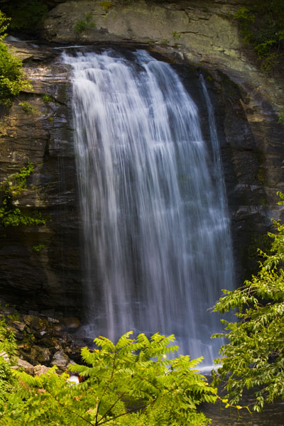 Looking Glass Falls #T15