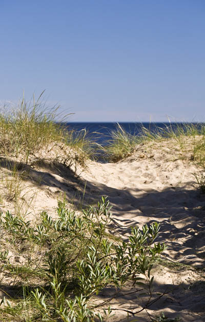 Manistique Dunes