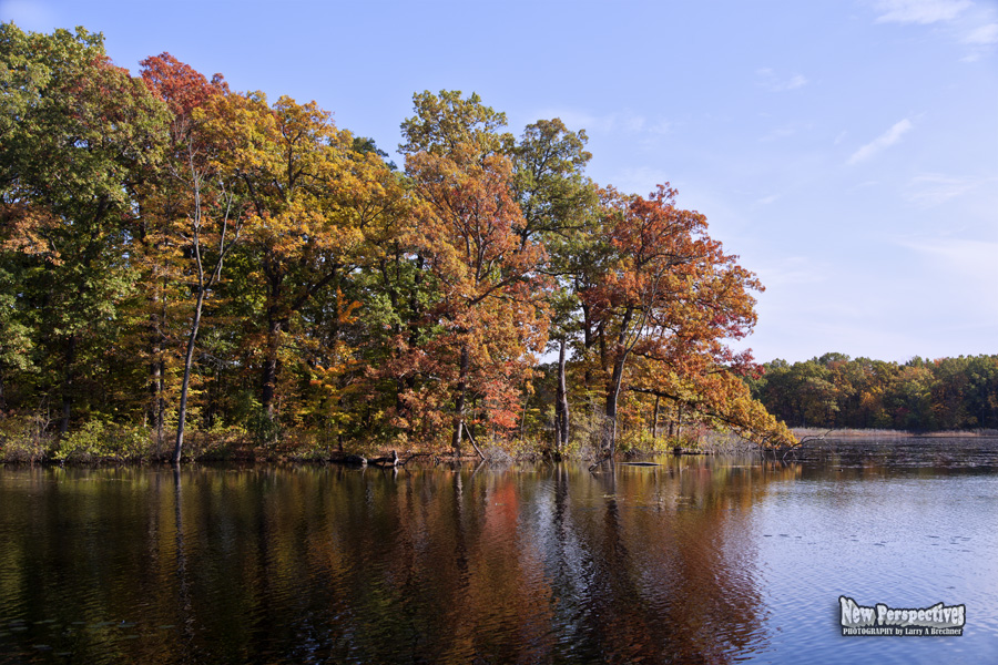 Lakeside View-Autumn #56