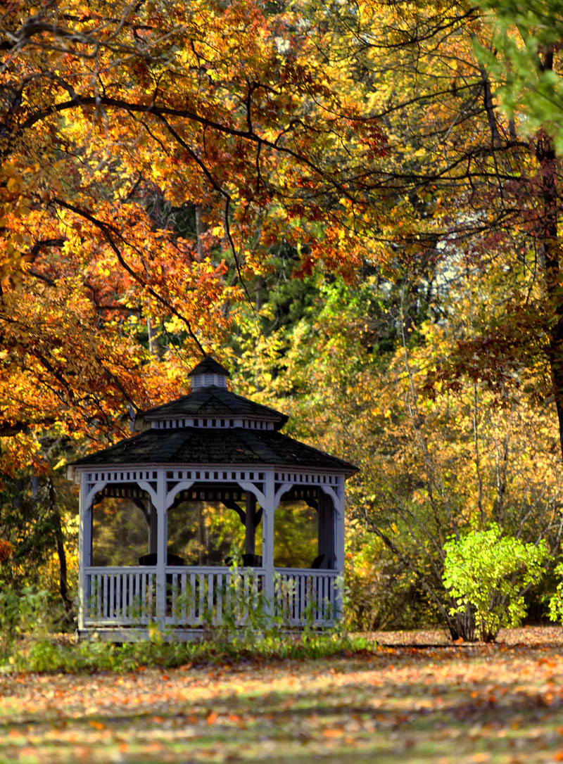 Parkdale Gazebo #19