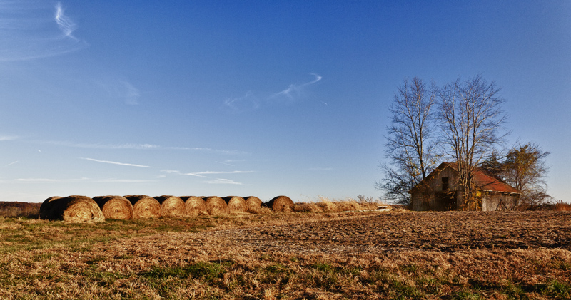 Autumn Hay Rolls