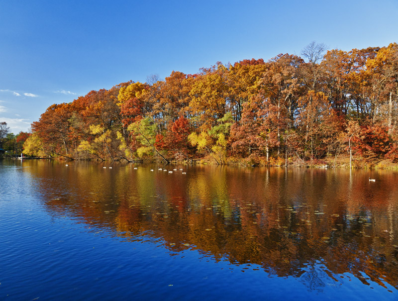 Autumn on Spectacle Lake
