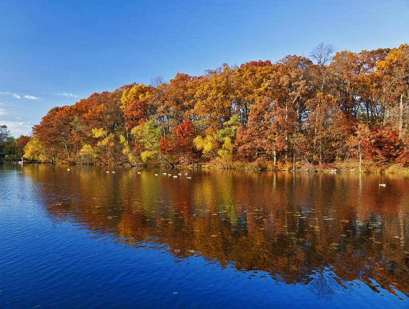 Autumn on Spectacle Lake #52W