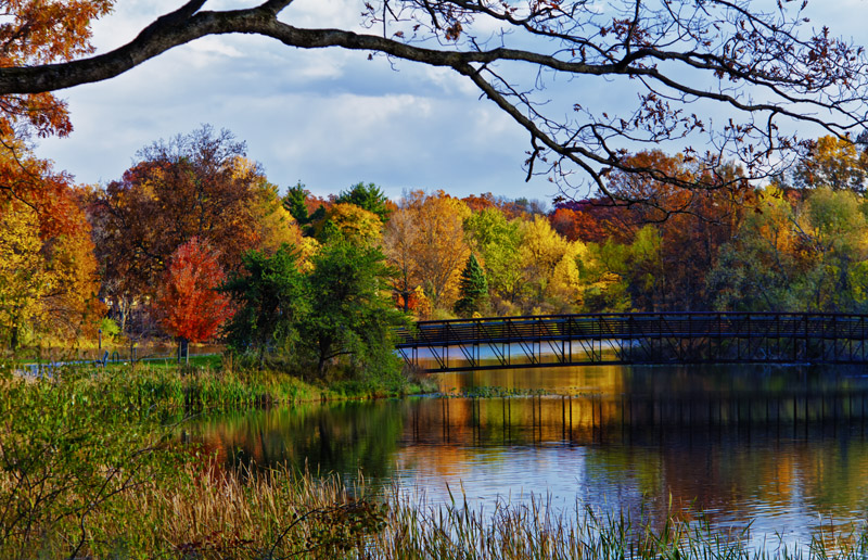 Autumn on Loomis Lake