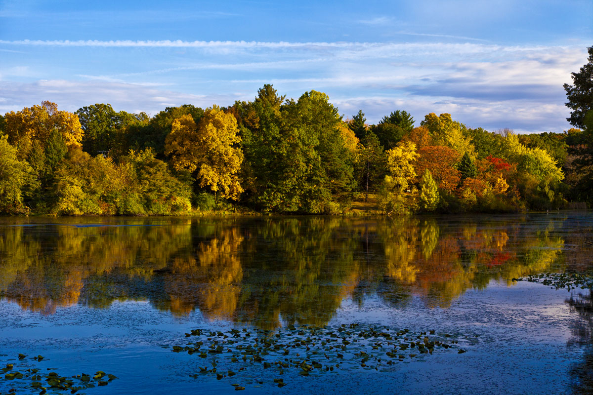 Spectacle Lake #161