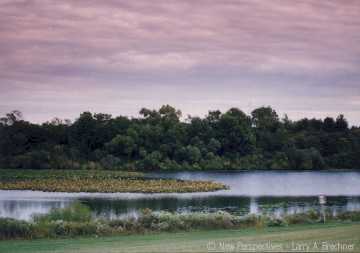 Twilight Lagoon