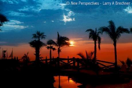 Cabo Sunrise