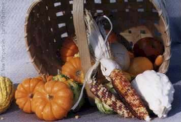 Homestead Bounty