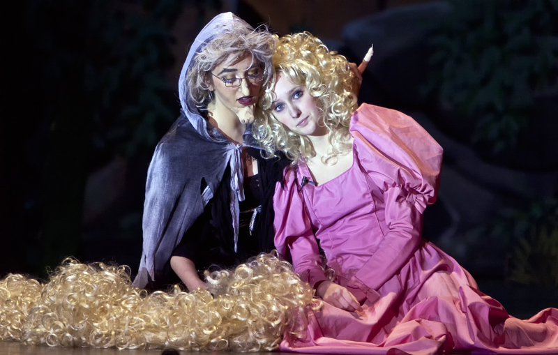Into The Woods